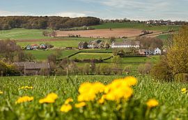 Vakwerkhuisjes in Epen Zuid-Limburg by John Kreukniet