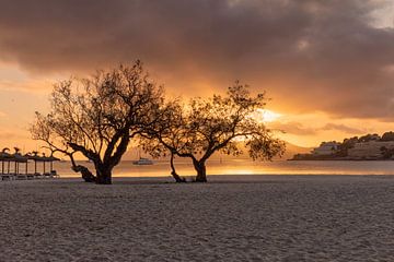 Zonsondergang bij het strand van Santa Ponca