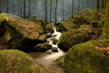 Beekje in het Zwarte Woud - Gertelbach-Wasserfälle bij Bühlertal van André Post