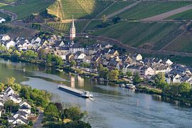 Merl sur la Moselle sur Walter G. Allgöwer