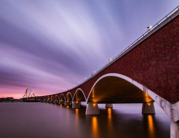 De Oversteek gehuld in prachtige kleuren van Daniëlle Langelaar Photography