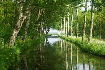 Alblasserwaard van Michel van Kooten