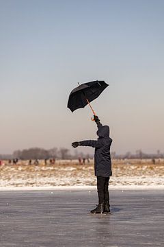 Op het ijs in Brigdamme