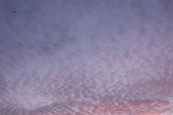 Ciel violet, Wassenaarseslag, Wassenaar, Pays-Bas