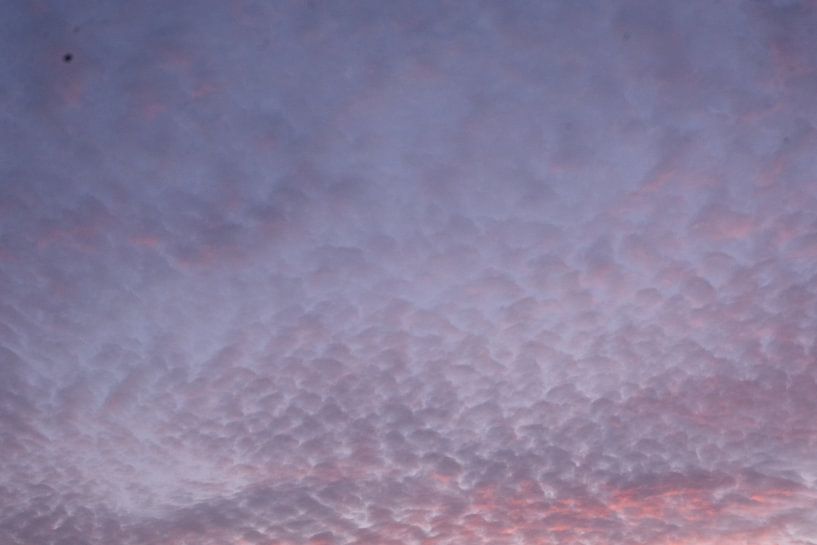 Purple sky, Wassenaarseslag, Wassenaar, Netherlands by themovingcloudsphotography