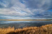 Oostvaardersplassen