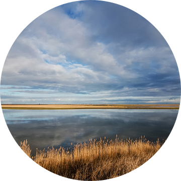 Oostvaardersplassen van René Vos