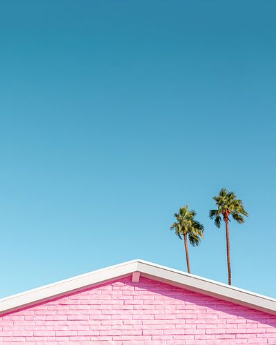 Pink Roofline with Palm Trees