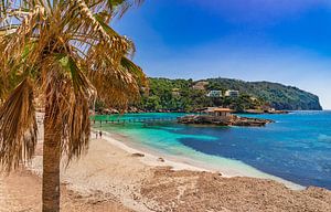 Vue idyllique de la plage de la baie de Camp de Mar sur l'île de Majorque, en Espagne.