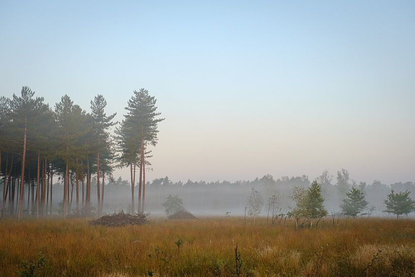 Brouillard sur Pietersheim par Johan Vanbockryck