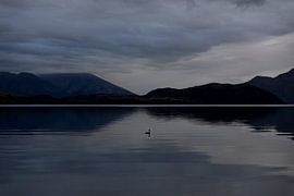 Tranquil Lake Wanaka
