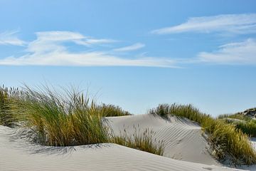 Dunes sur Arie Jan van Termeij