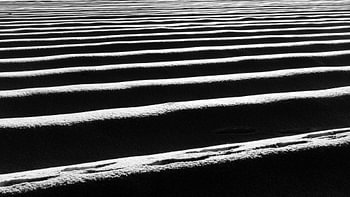 lines