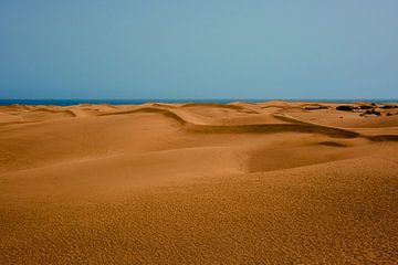 Duinen van Maspalomas van GM Photography