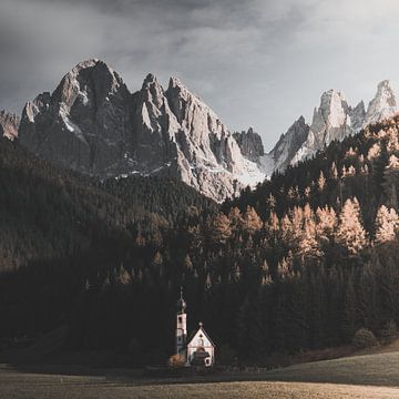 Cerisier St Magdalena sur Fabiroams