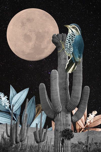 Warm Desert Nights by Marja van den Hurk