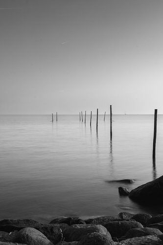 Palen in het Markermeer van Tessa Denneman
