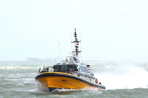 Milo, bateau-pilote