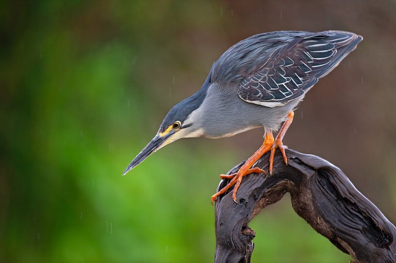 Fishing by Marco Pozzi