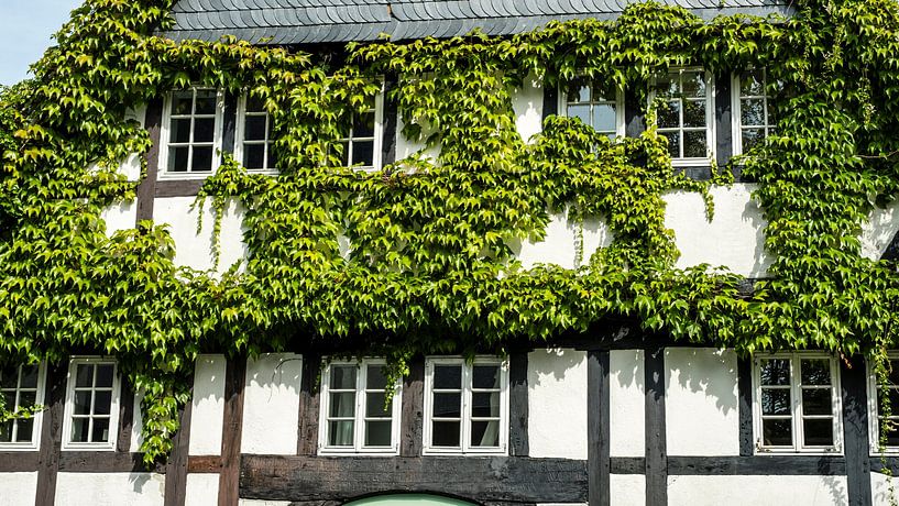 Fassade Fachwerkhaus mit Efeu von Dieter Walther