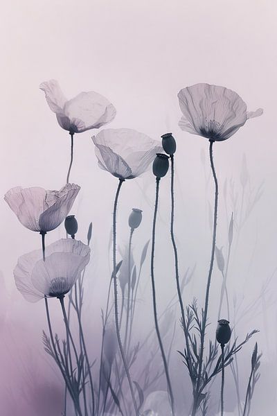 Poppy seeds by Poster Art Shop
