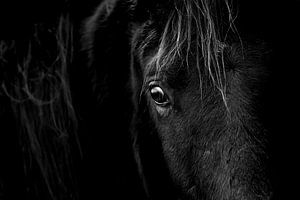 Ogen van de Ziel - Paardenportret in Low-Key van Femke Ketelaar