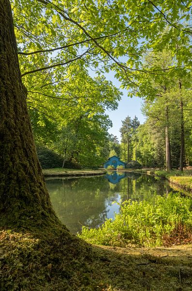 The blue boathouse in the forest by Moetwil en van Dijk - Fotografie