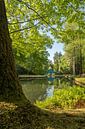 The blue boathouse in the forest by Moetwil en van Dijk - Fotografie thumbnail