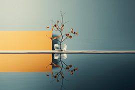 Aesthetic minimalism