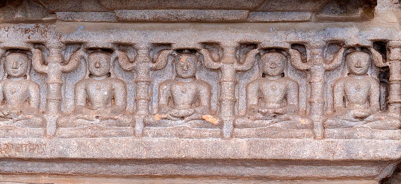 Ranakpur: Ranakpur Jain tempel by Maarten Verhees