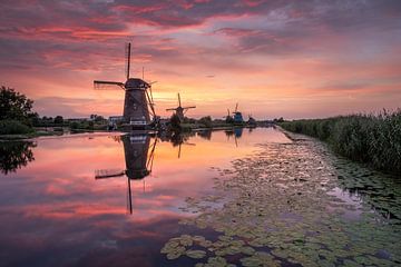 Kinderdijk zonsondergang