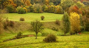 Herfstwandeling in Slenaken Zuid-Limburg van John Kreukniet