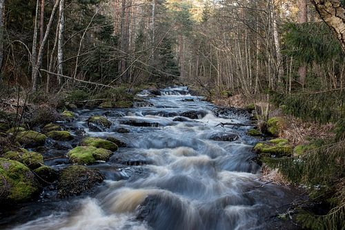 Zweden landschap 108