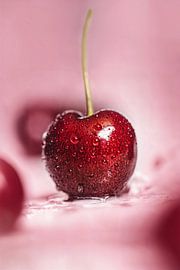 Lebensmittelporträt einer roten Kirsche von butfirstsalt
