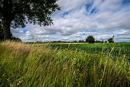Bauernhoflandschaft mit Feldern.