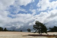 Nuages menaçants au-dessus du Sahara, Ommen