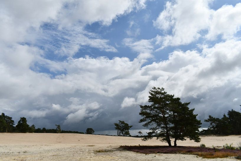 Bedrohliche Wolken über der Sahara, Ommen von Bernard van Zwol