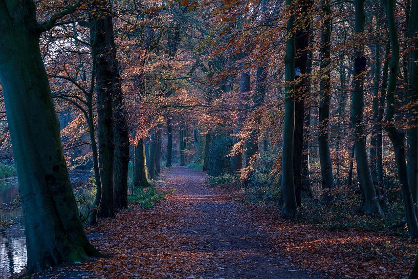 Lichter Fall von peterheinspictures