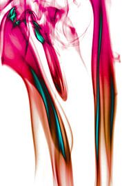 Furieuze Discussie by Robert Wiggers