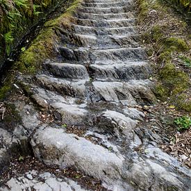 Roman Steps van René Rietbroek