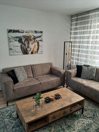 Schottischer Highlander