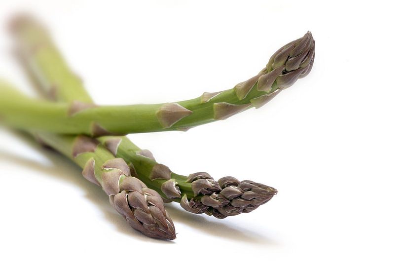 green asparagus, three spears in a closeup shot, isolated with shadows on a white background, select by Maren Winter