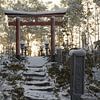 Oud, besneeuwd natuurpad voor een torii poort en stenen lantaarns in het avondlicht. Concept: oud Japans heiligdom van Besa Art