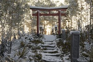Ancien chemin naturel enneigé devant une porte torii et des lanternes en pierre dans la lumière du soir. Concept : ancien sanctuaire japonais