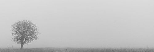 Einsamer Baum