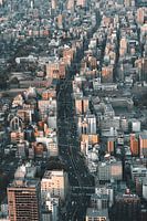 Uitzicht op Osaka