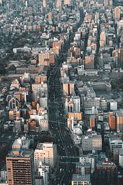 Uitzicht op Osaka van Studio Graber