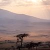 Ondergaande zon boven de Serengeti van Julian Buijzen
