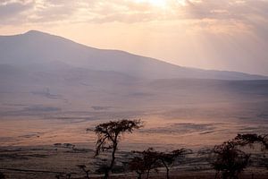 Ondergaande zon boven de Serengeti van Julian Buijzen