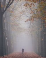 Bains de forêt délicieux